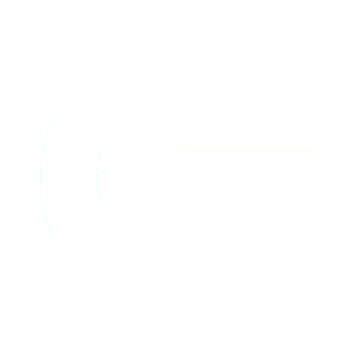 google review